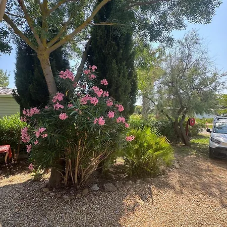 87, Wifi, 3ch, 6-8 Personnes Siblu Le Des Reves Appartamento *